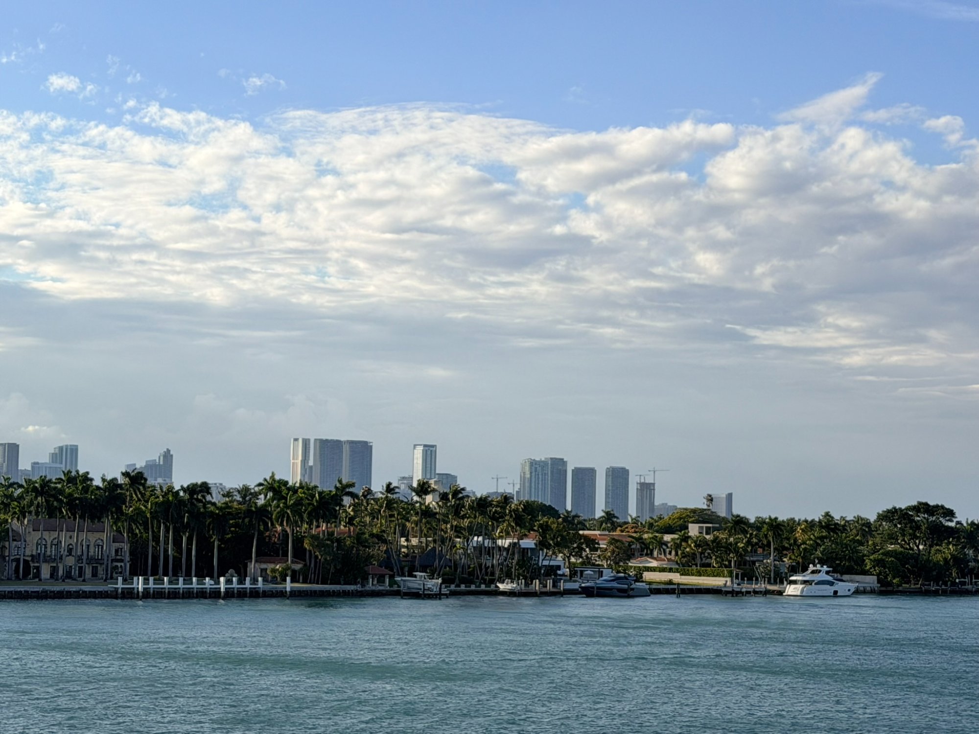 Miami waterfront with skyline and palm trees